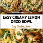 Creamy lemon orzo with rotisserie chicken, spinach, and herbs served in a rustic bowl.